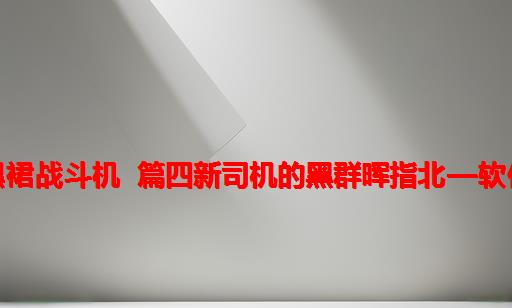 新司机的黑裙战斗机 篇四：新司机的黑群晖指北—软件篇（下）